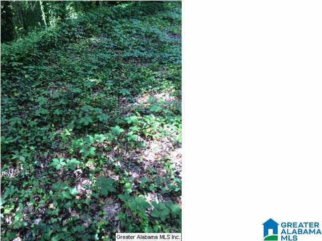 4272 Old Leeds Road Birmingham, AL 35213 - Photo 5 of 8