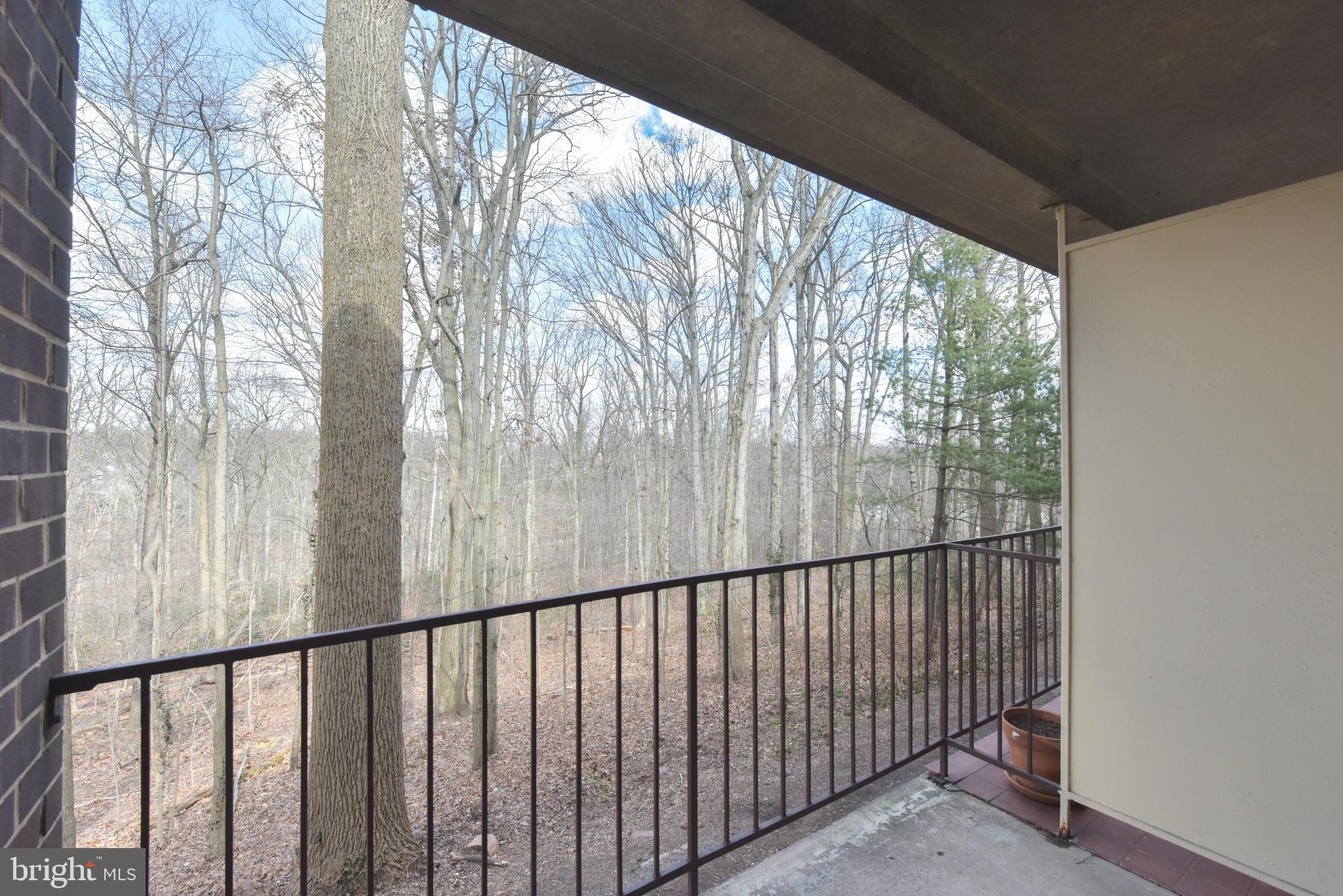 5065 7th Road South, Unit 101 Arlington, VA 22204 - Photo 2 of 8