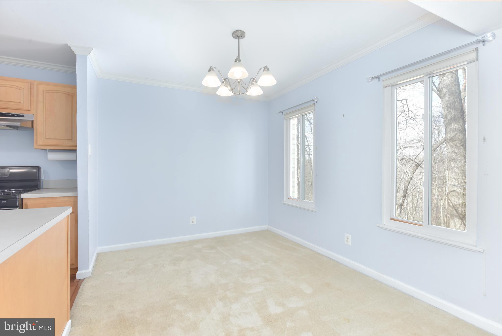 5065 7th Road South, Unit 101 Arlington, VA 22204 - Photo 4 of 8