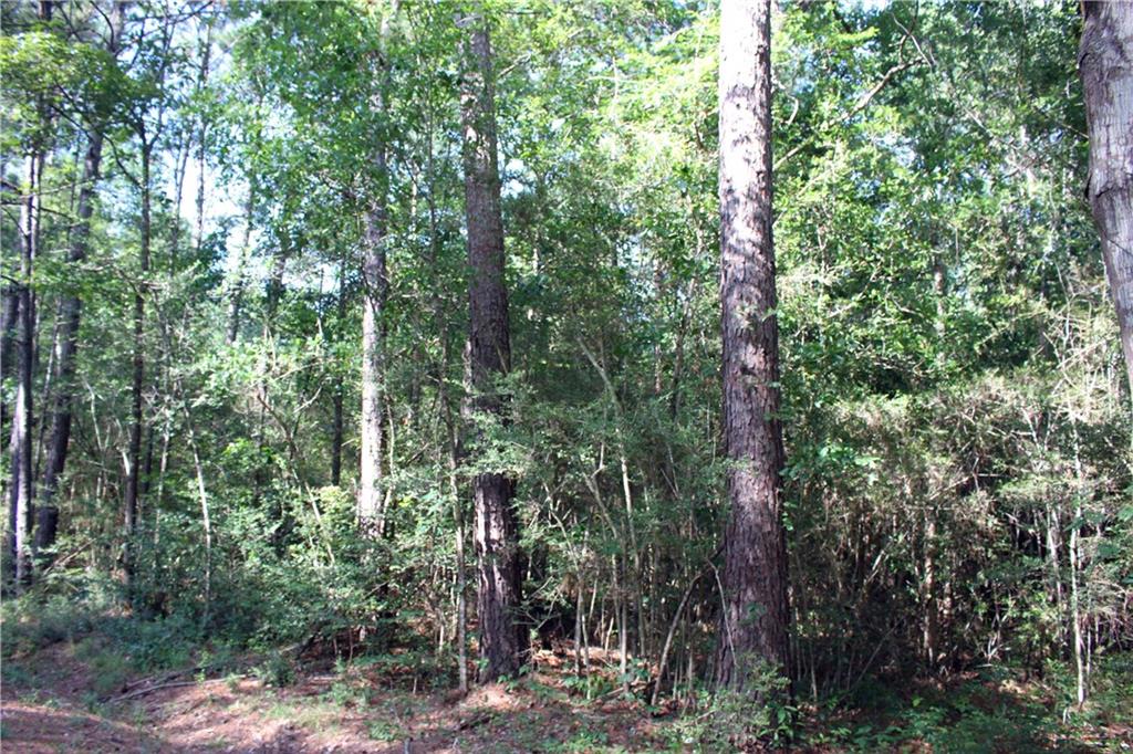 Lot F-3 Fauntleroy Road Covington, LA 70435 - Photo 11 of 14 Gallery Image 11