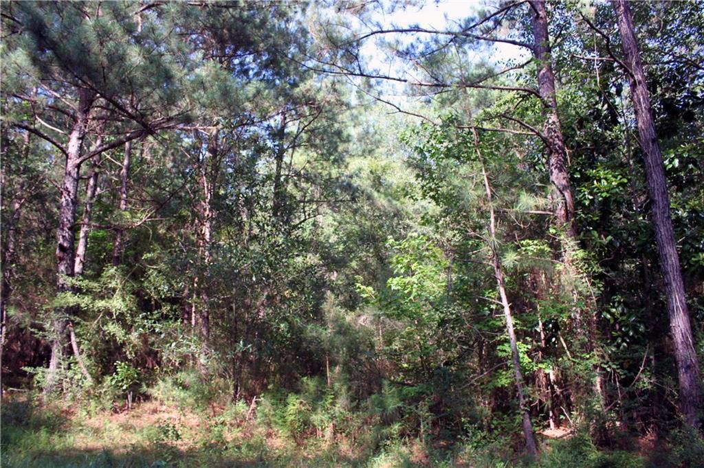 Lot F-3 Fauntleroy Road Covington, LA 70435 - Photo 14 of 14 Gallery Image 14