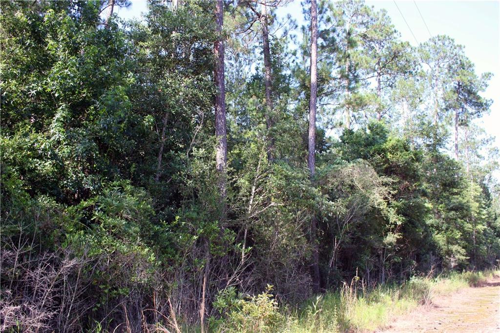 Lot F-3 Fauntleroy Road Covington, LA 70435 - Photo 6 of 14 Gallery Image 6