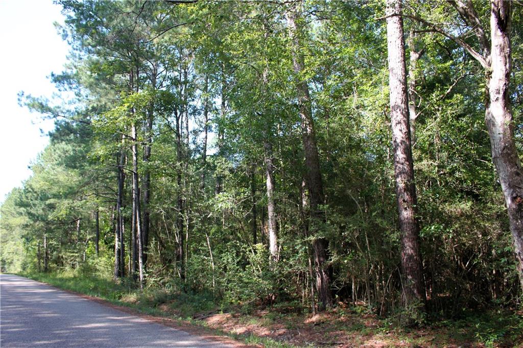 Lot F-3 Fauntleroy Road Covington, LA 70435 - Photo 8 of 14 Gallery Image 8