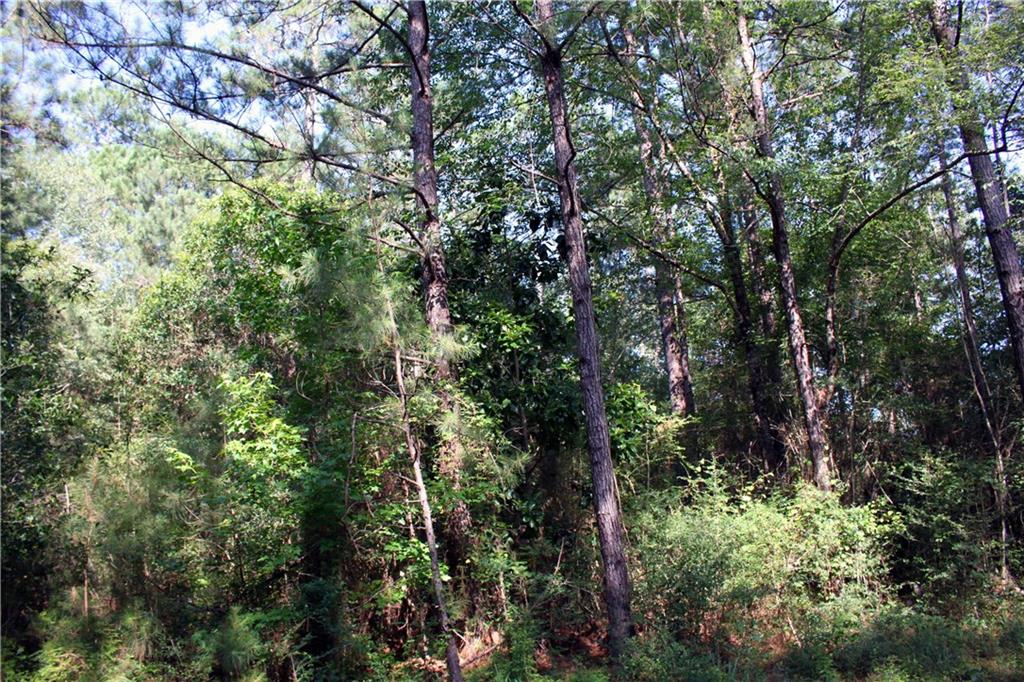Lot F-3 Fauntleroy Road Covington, LA 70435 - Photo 10 of 14 Gallery Image 10