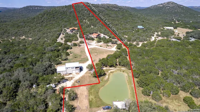 a view of a forest with mountains in the background