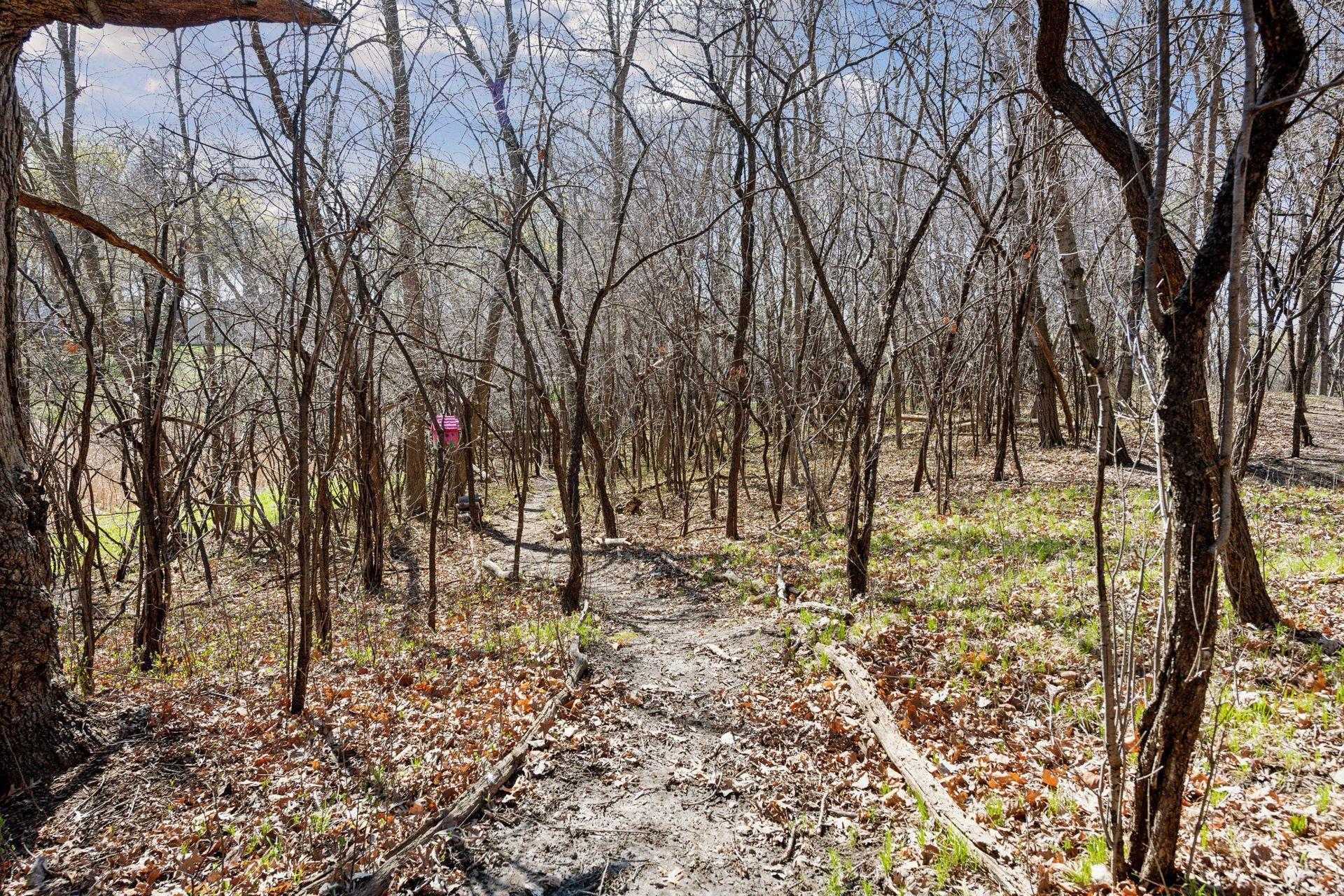 91 Wildhurst Road Tonka Bay, MN 55331 - Photo 36 of 38