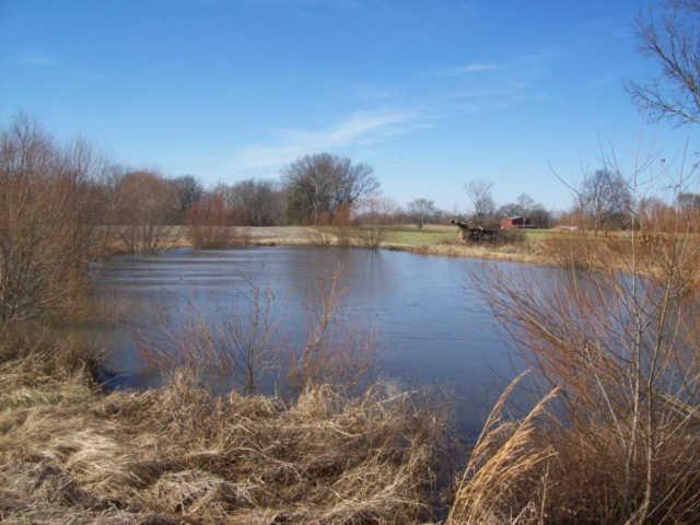 7526 Swift Road Greenbrier, TN 37073 - Photo 2 of 7 Pond