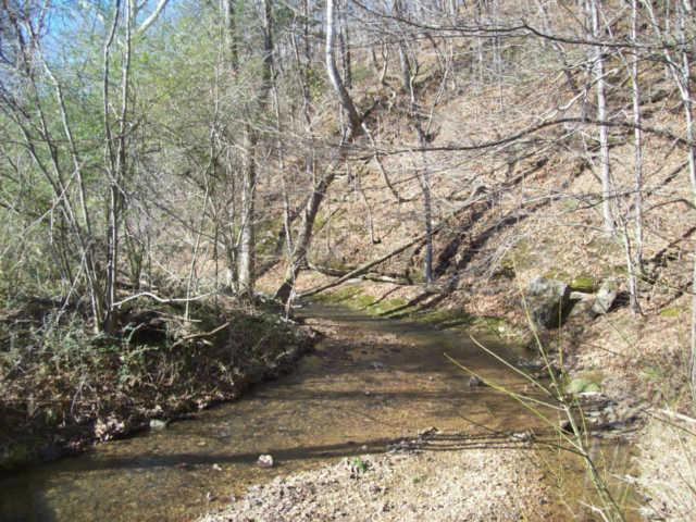 7526 Swift Road Greenbrier, TN 37073 - Photo 5 of 7