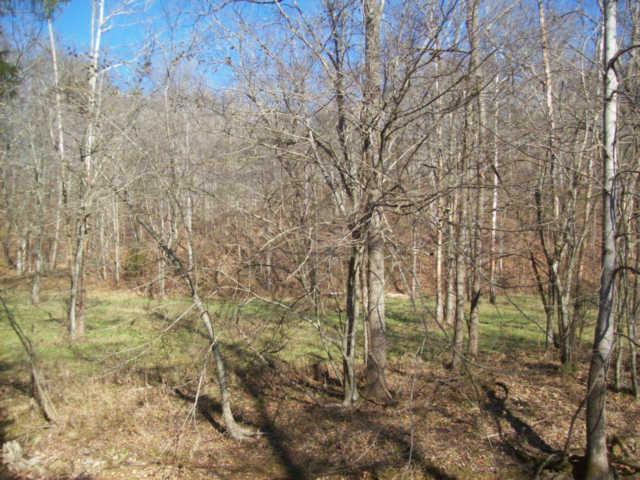 7526 Swift Road Greenbrier, TN 37073 - Photo 6 of 7