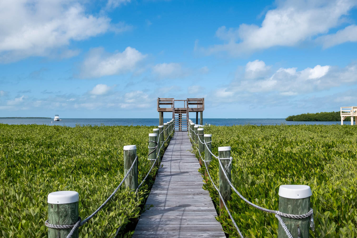 12 Flamingo Hammock Road Islamorada, FL 33036 - Photo 79 of 80 111023 12 Flamingo Hammock Rd SIZED dfp-