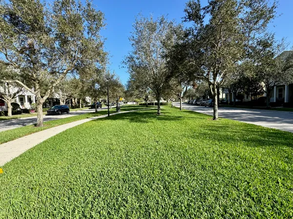 a big yard with lots of green space and trees