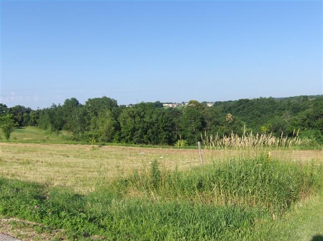 Main Photo