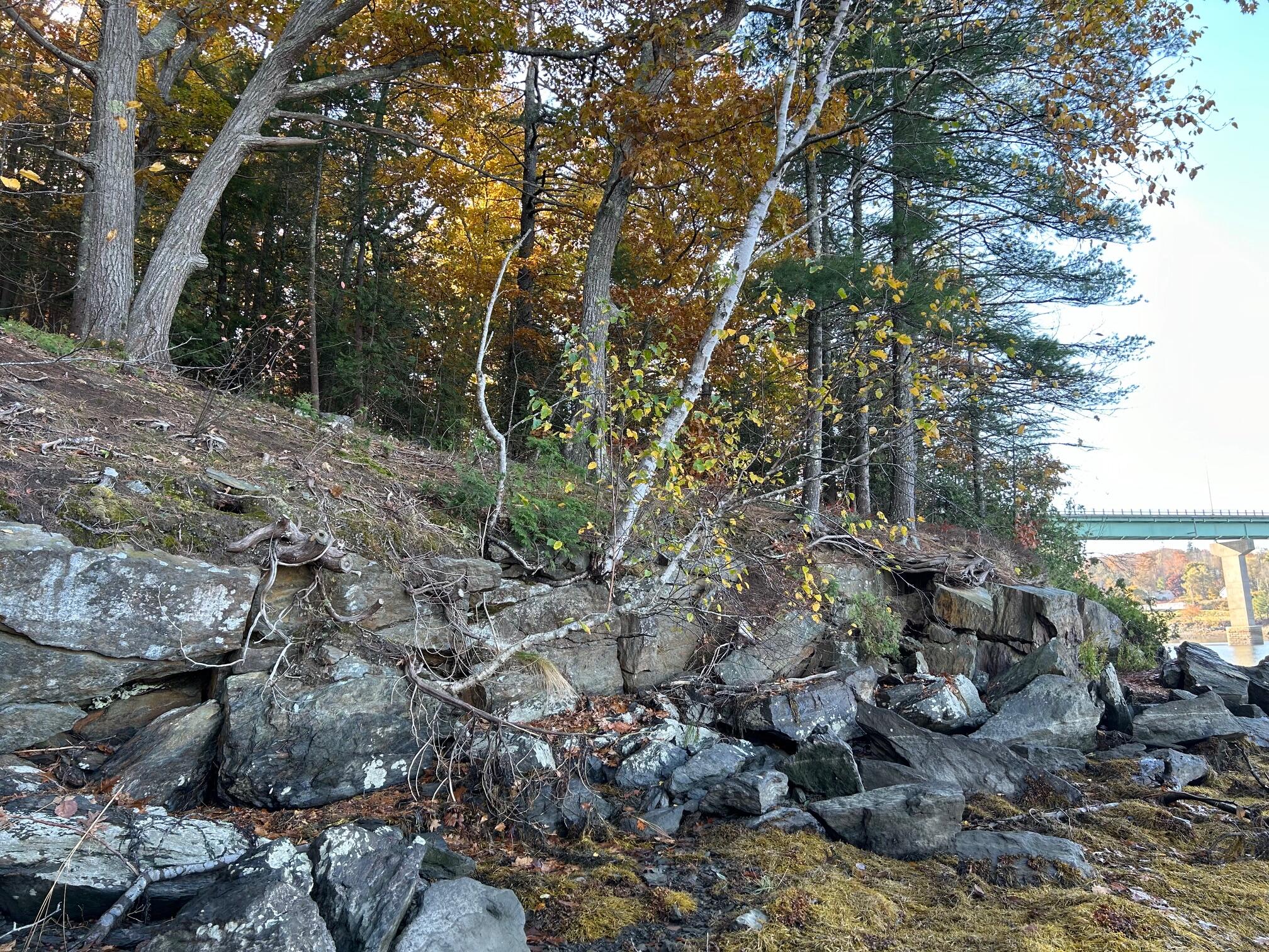 Map 19-lot Map 19-lot Off Robbins Road Belfast, ME 04915 - Photo 5 of 14 IMG_3937