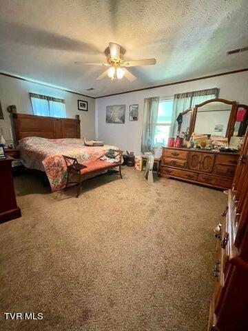1925 Hull Way Del Rio, TN 37727 - Photo 21 of 41 20230803170219971739000000-o