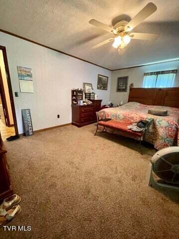 1925 Hull Way Del Rio, TN 37727 - Photo 22 of 41 20230803170225330920000000-o
