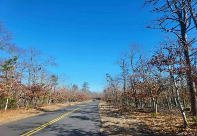 a view of a yard with plants and trees