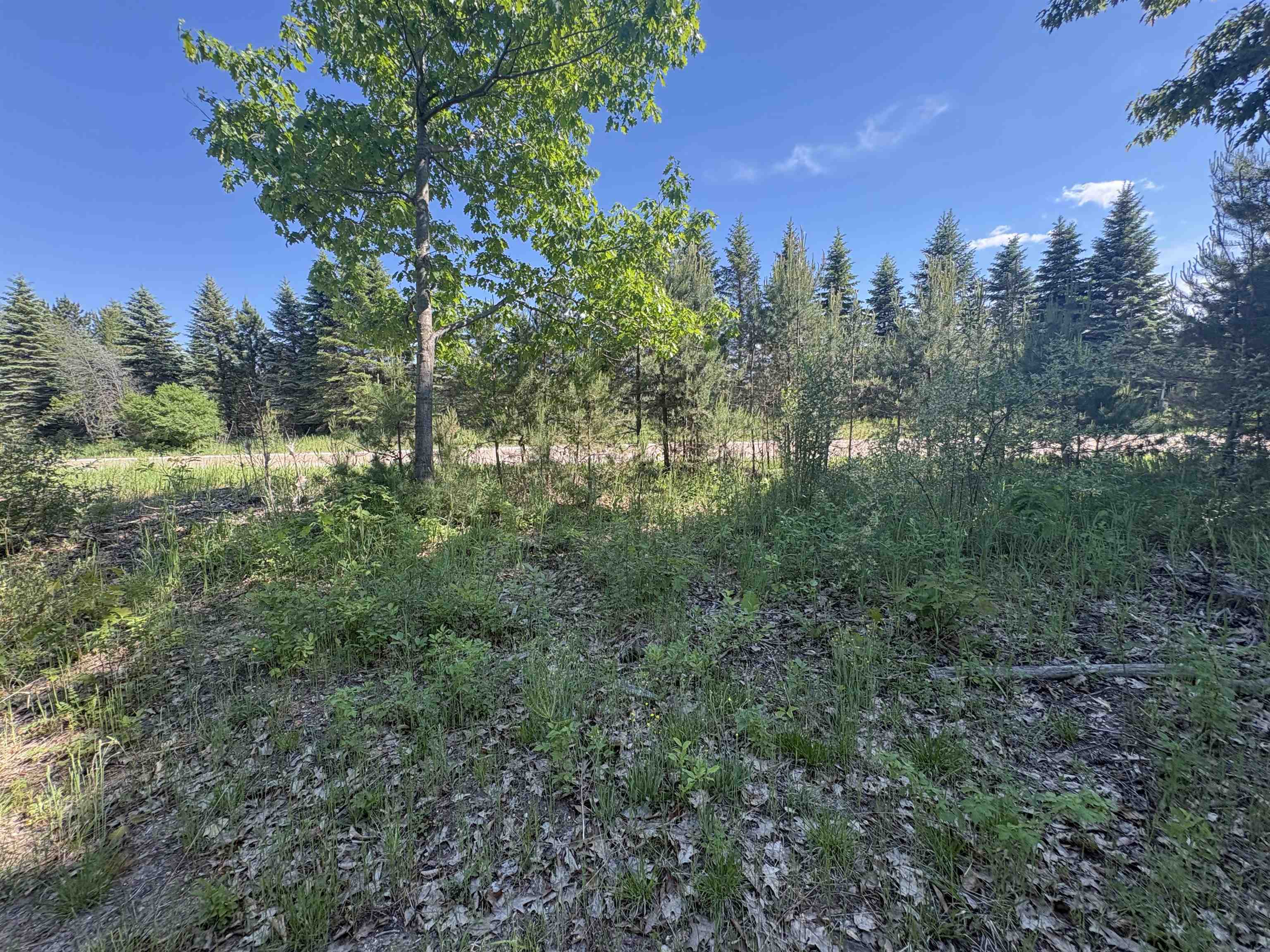 Parcel E St Johns Road Interlochen, MI 49643 - Photo 7 of 11