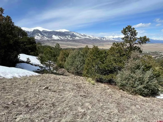 a view of a dry yard with mountains in the background