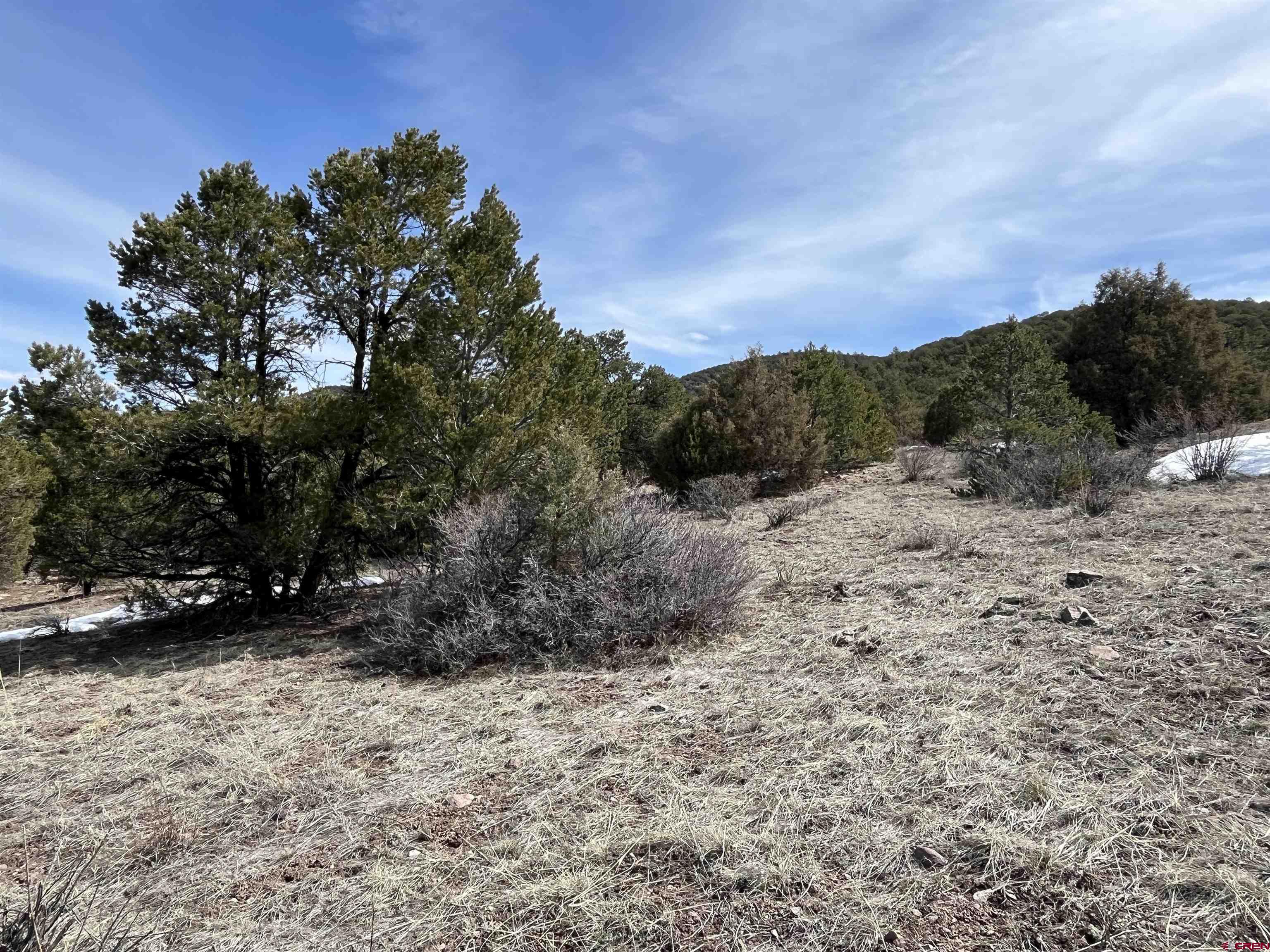 1601 Desperado Drive Cotopaxi, CO 81223 - Photo 22 of 35 a view of road with large trees
