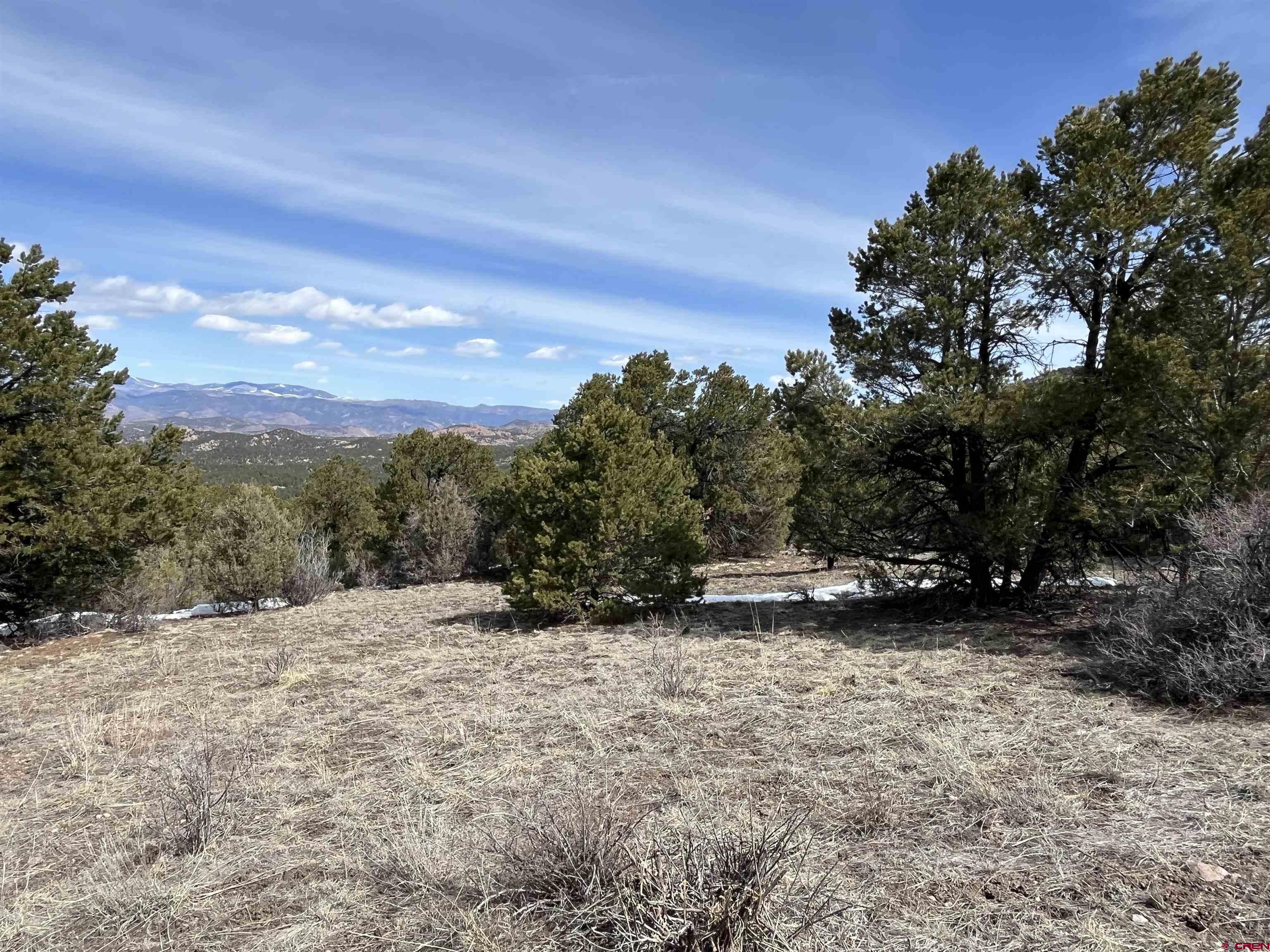1601 Desperado Drive Cotopaxi, CO 81223 - Photo 23 of 35 a view of outdoor space with mountain view