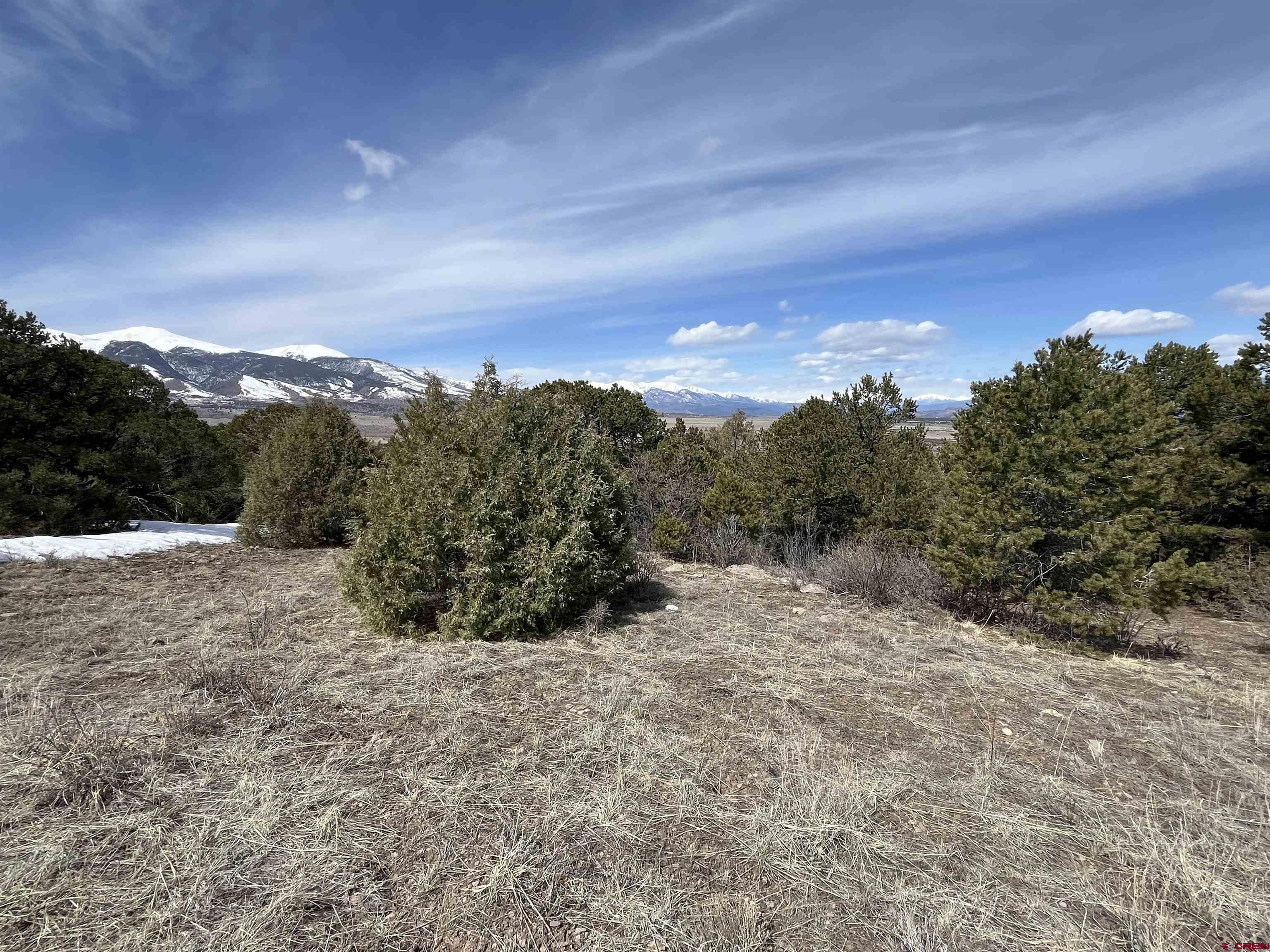 1601 Desperado Drive Cotopaxi, CO 81223 - Photo 25 of 35 a view of a large trees with mountain in the background