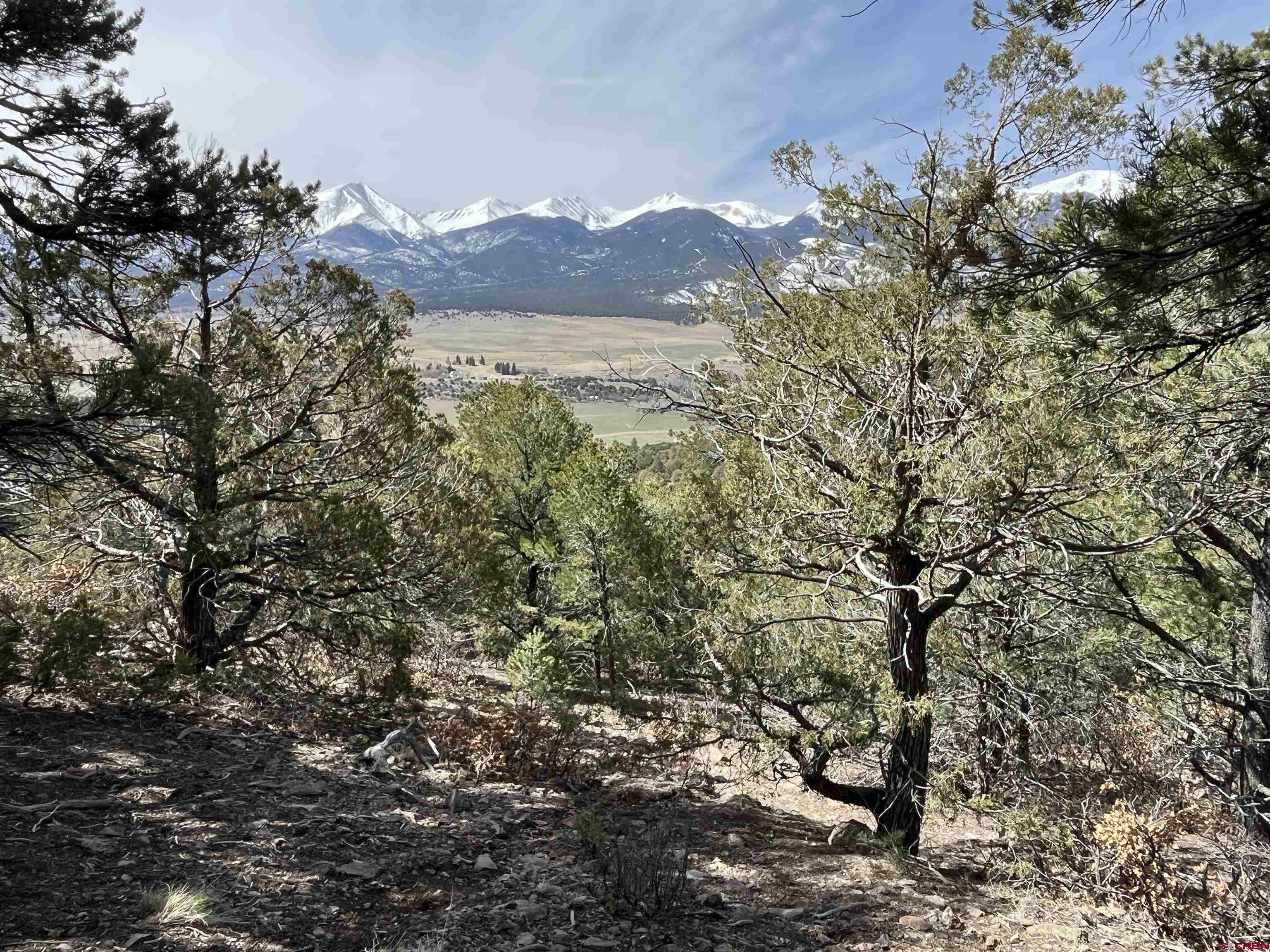 1601 Desperado Drive Cotopaxi, CO 81223 - Photo 27 of 35 a view of a forest with a tree