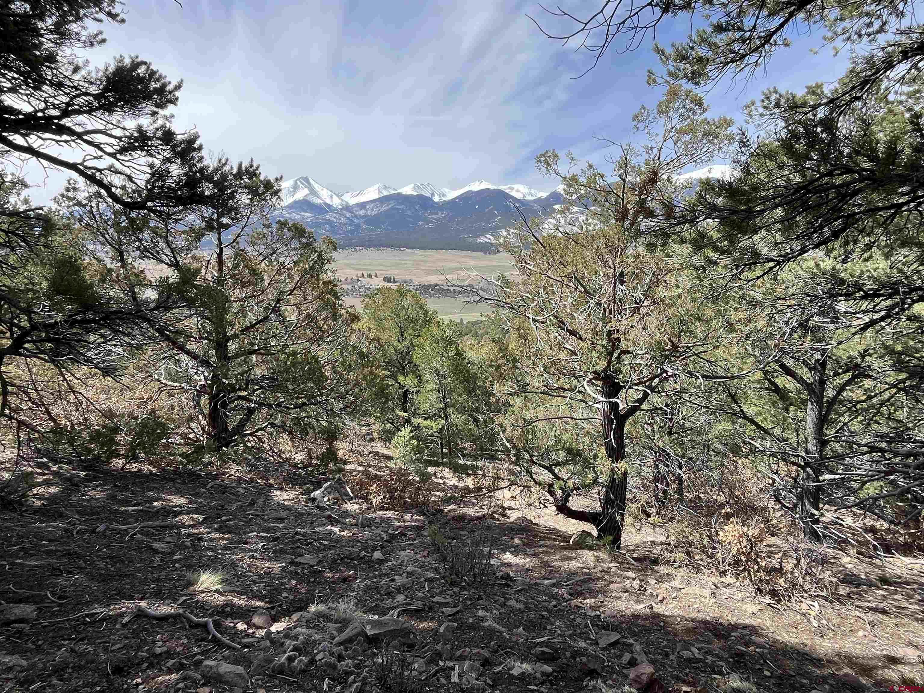 1601 Desperado Drive Cotopaxi, CO 81223 - Photo 28 of 35 a view of a tree in a field