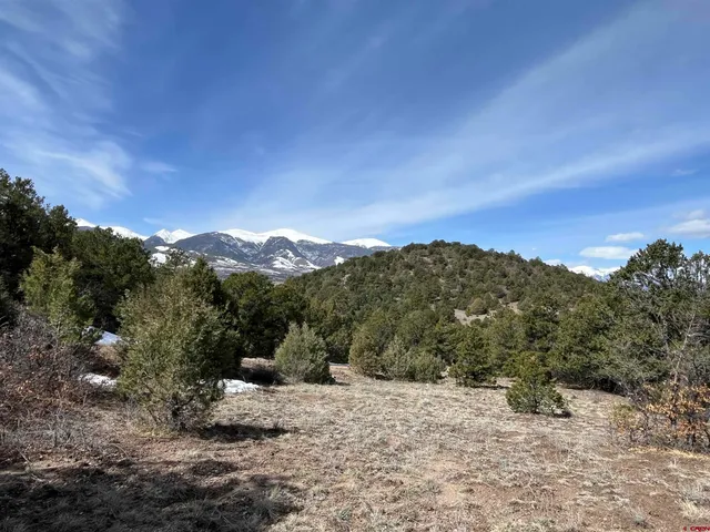 a view of a dry yard with mountains in the background