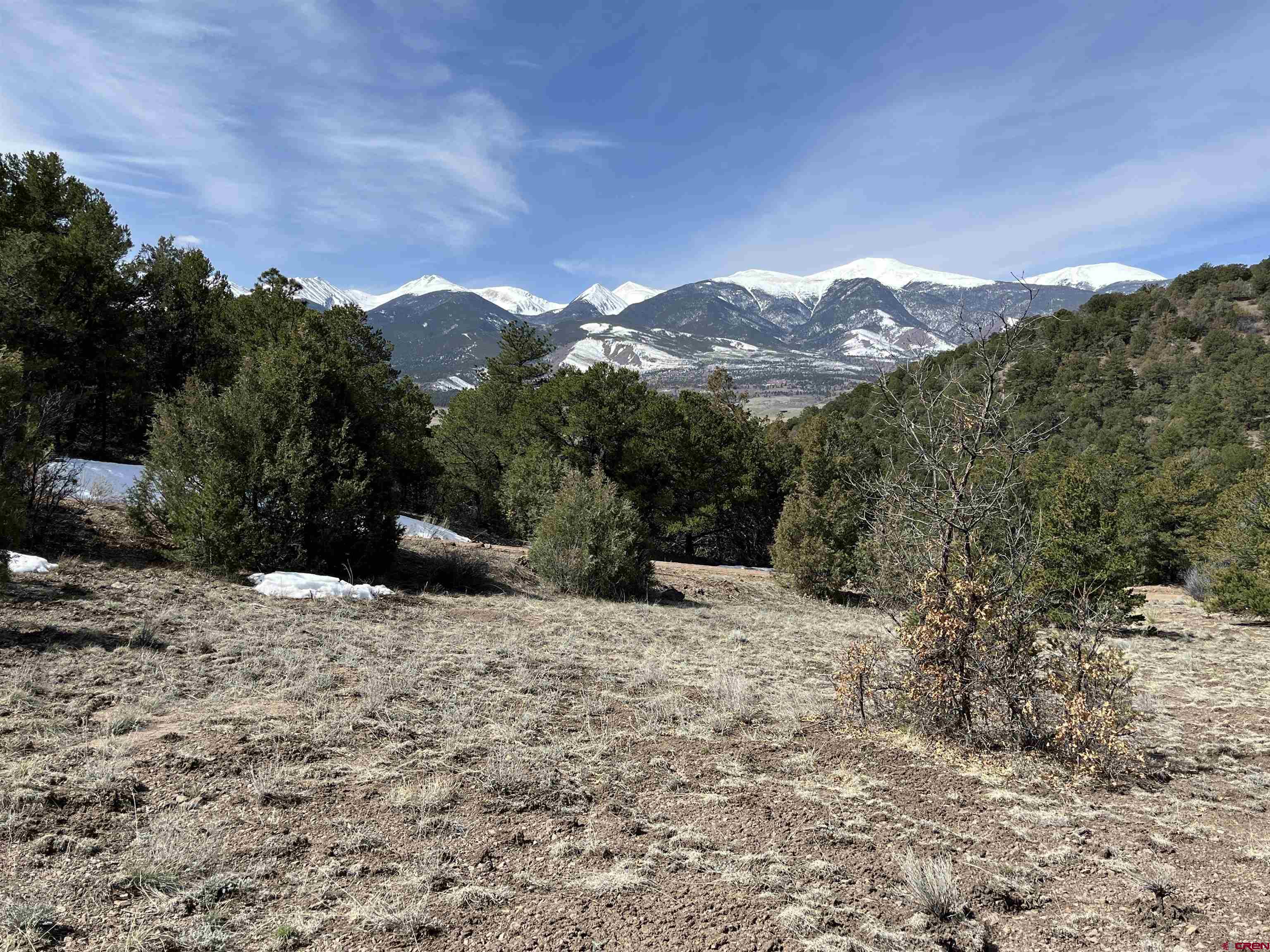 1601 Desperado Drive Cotopaxi, CO 81223 - Photo 32 of 35 a view of a large tree with a yard