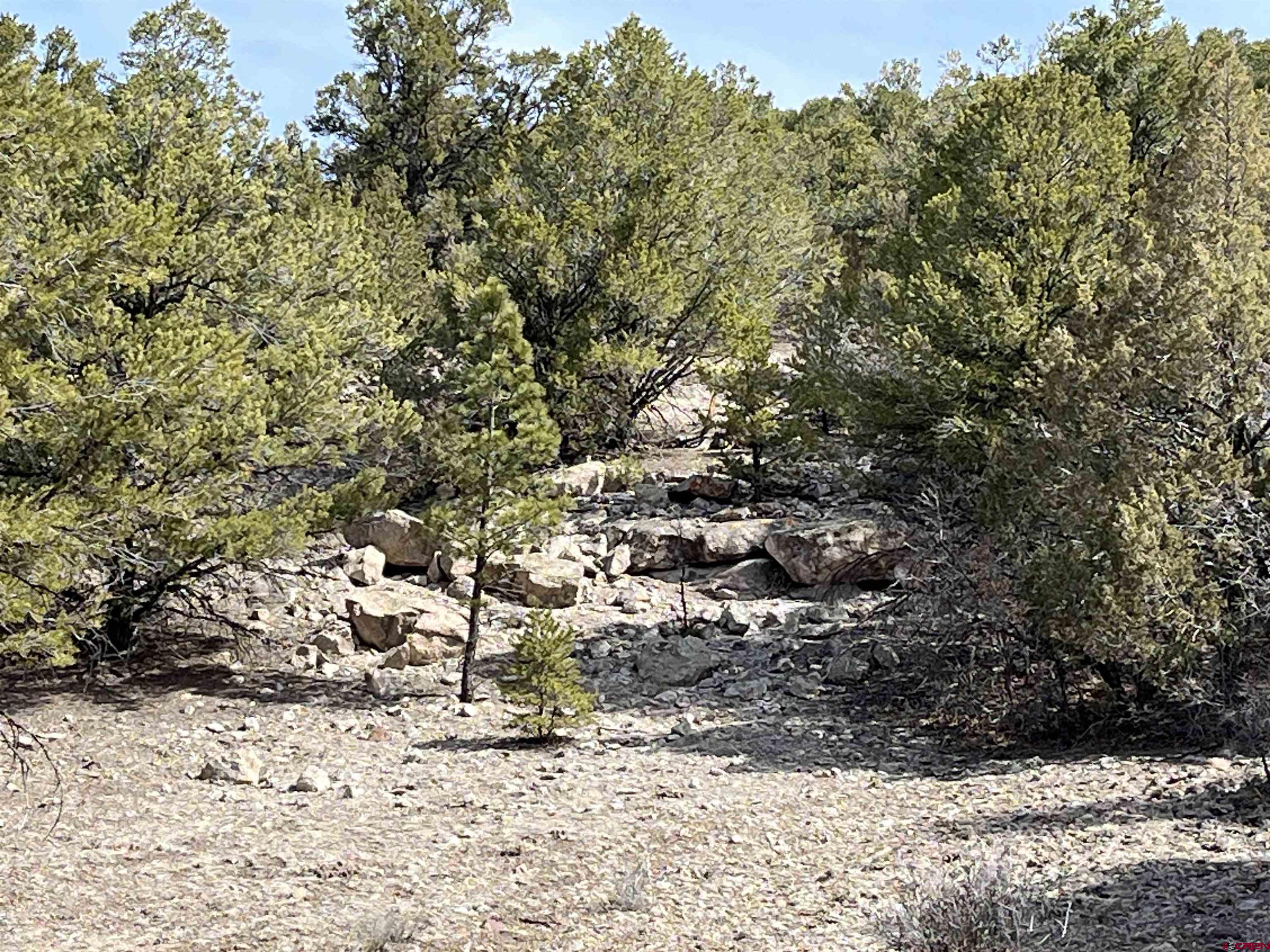 1601 Desperado Drive Cotopaxi, CO 81223 - Photo 34 of 35 a view of a yard covered with snow