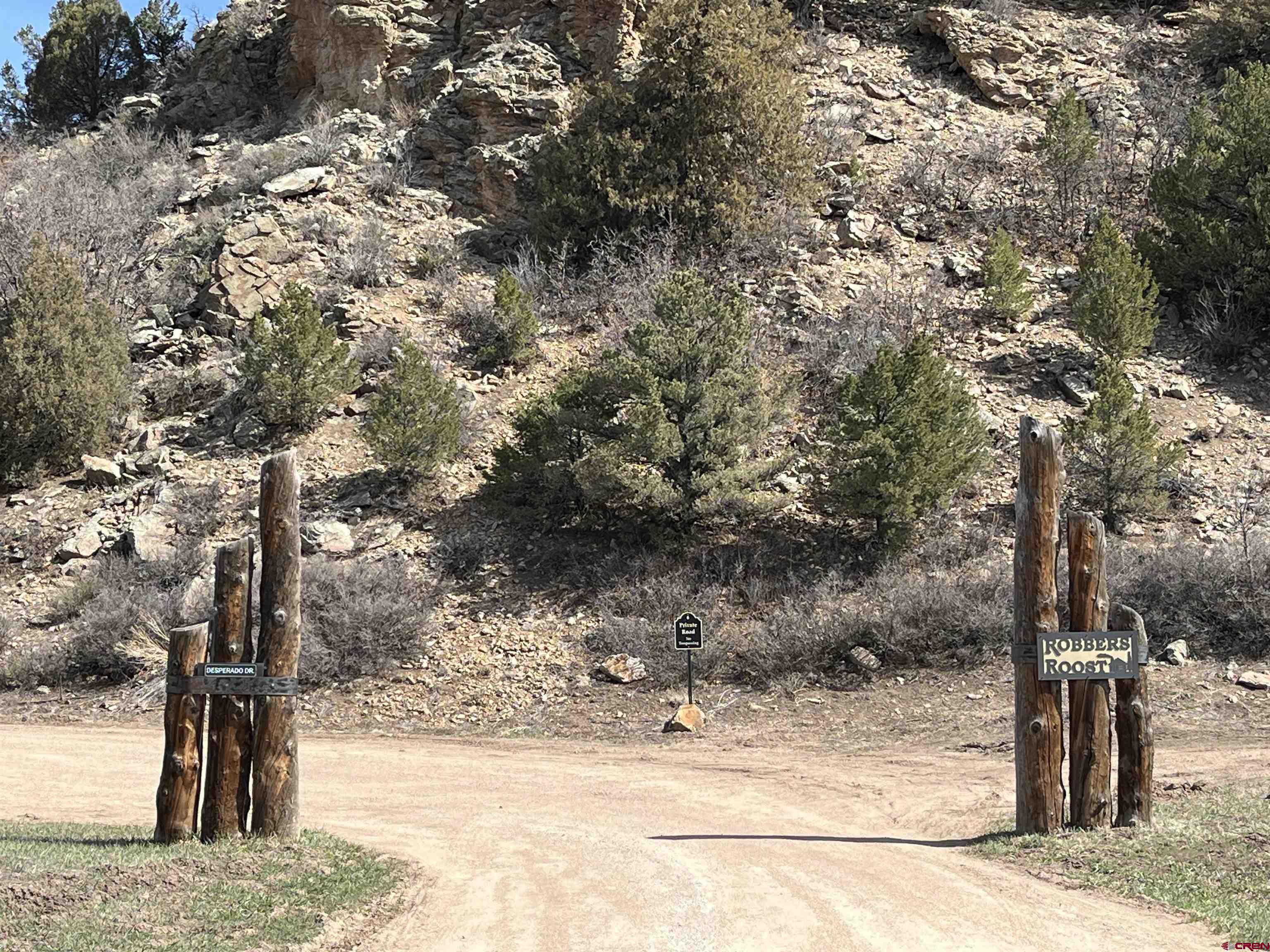 1601 Desperado Drive Cotopaxi, CO 81223 - Photo 35 of 35 a view of a yard with road