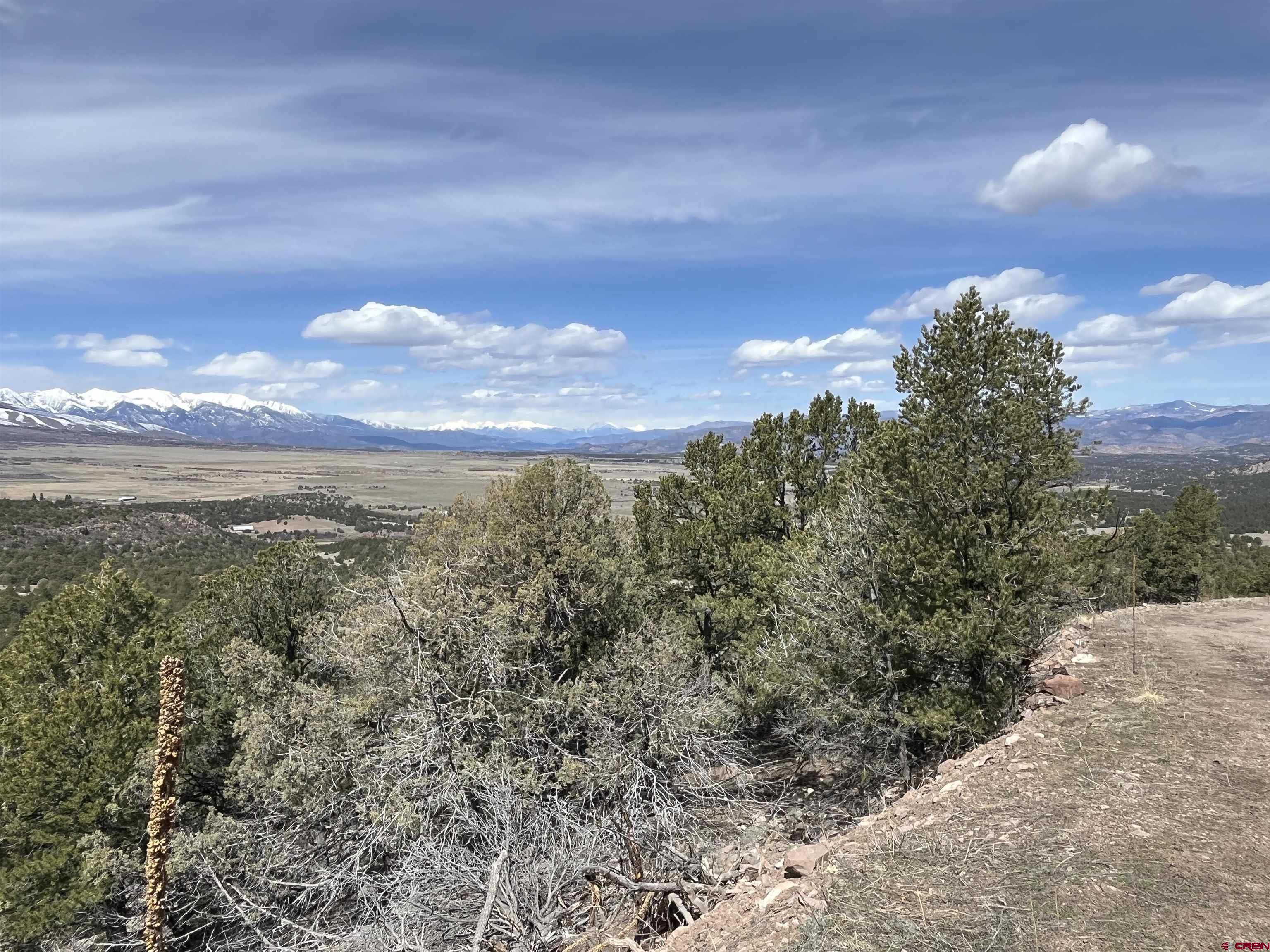 1601 Desperado Drive Cotopaxi, CO 81223 - Photo 6 of 35 a view of a city with lush green forest