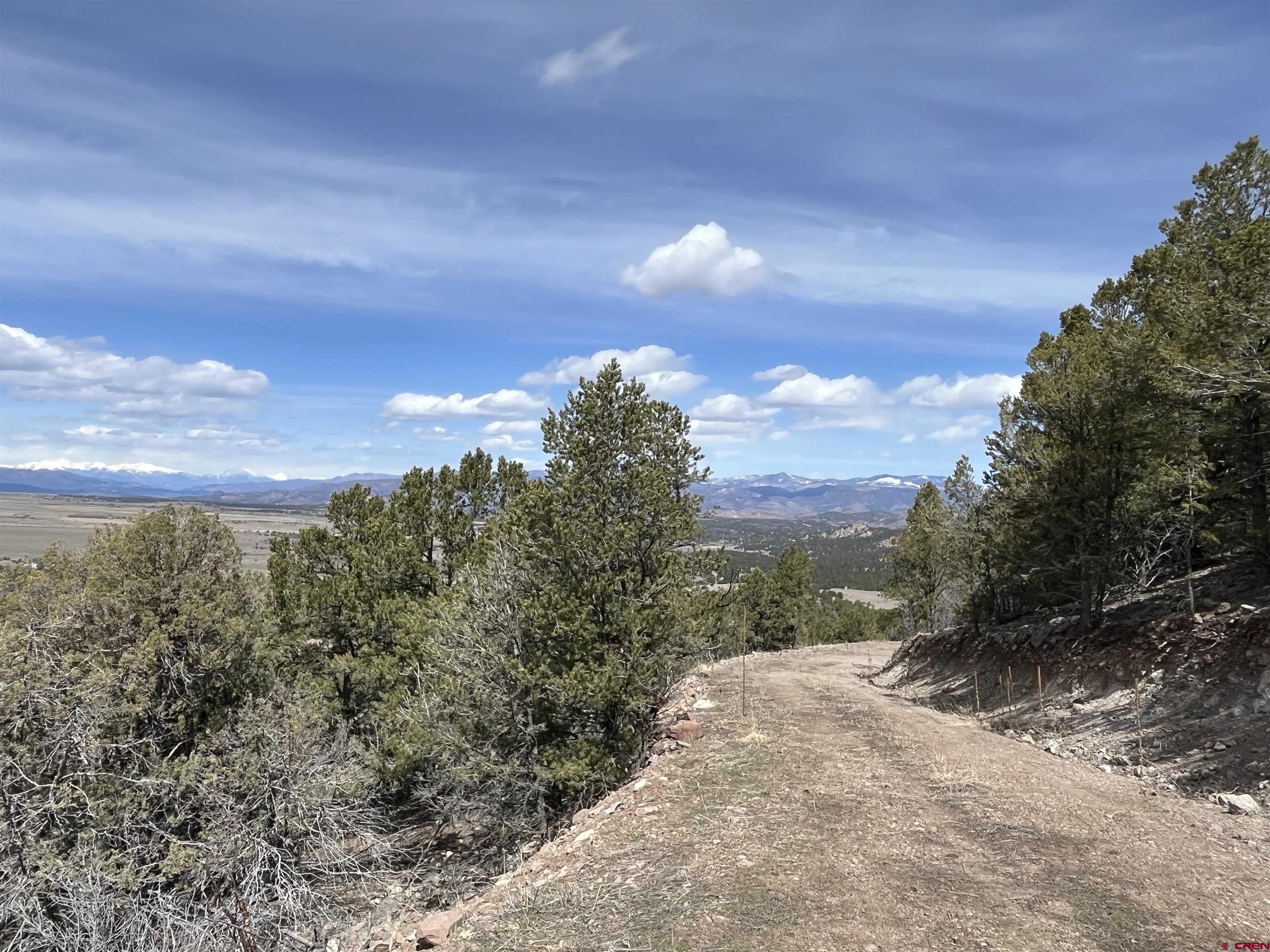 1601 Desperado Drive Cotopaxi, CO 81223 - Photo 7 of 35 a view of a city with lush green forest