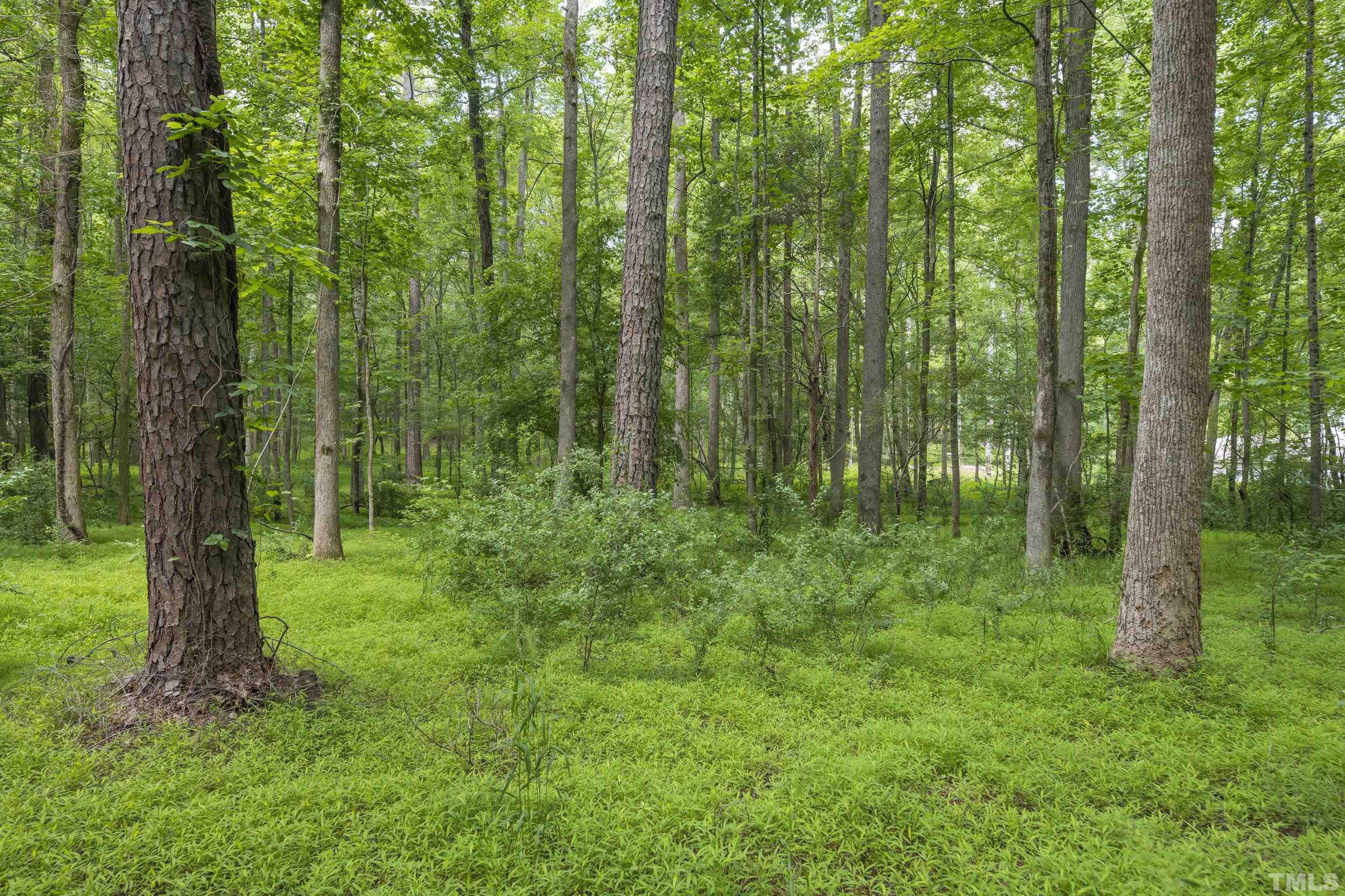 2624 Old Graham Road Pittsboro, NC 27312 - Photo 1 of 14 Gallery Image 1