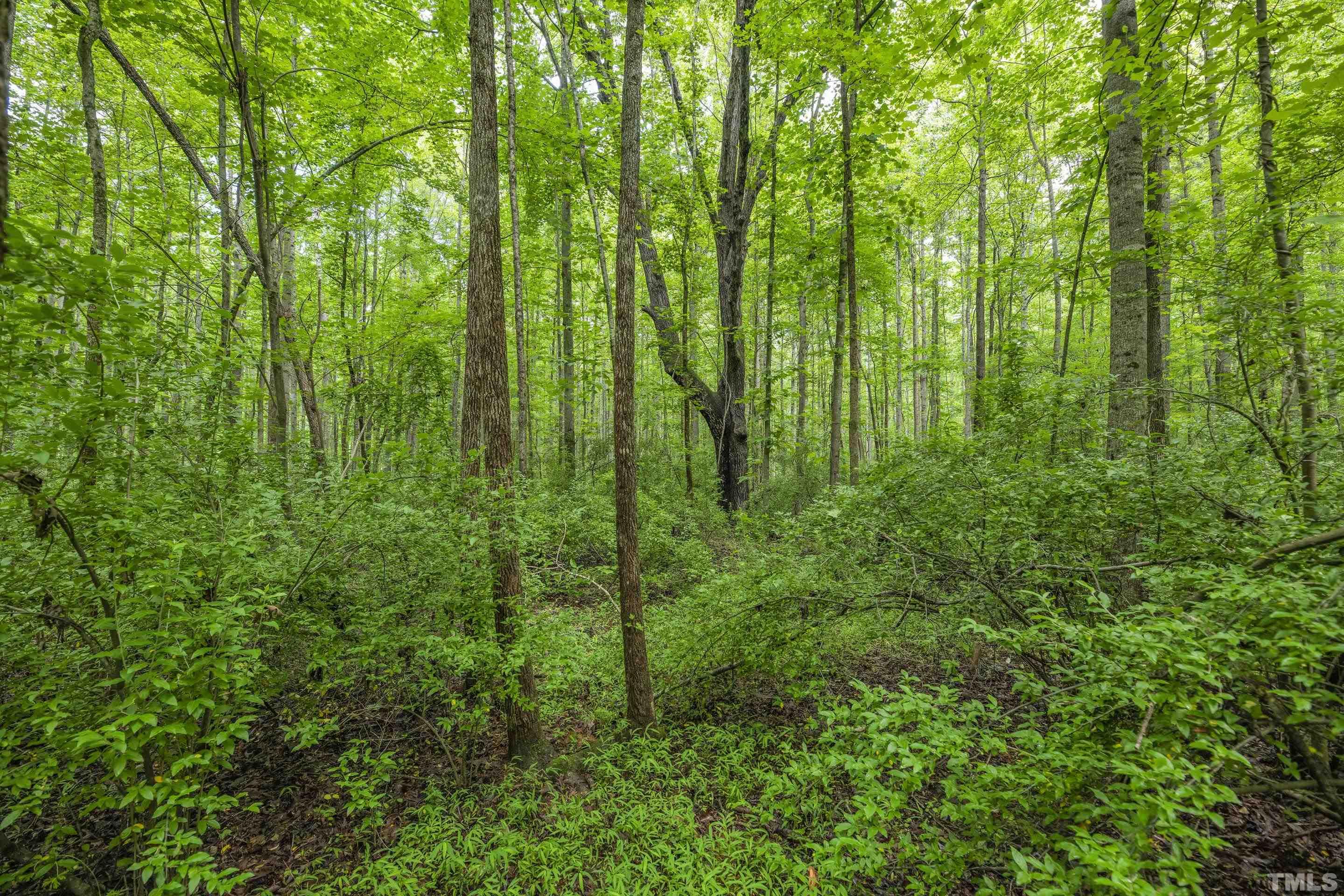 2624 Old Graham Road Pittsboro, NC 27312 - Photo 5 of 14 Gallery Image 5
