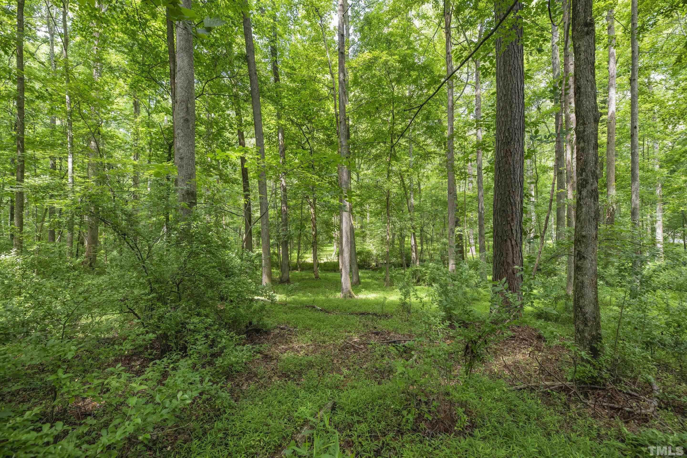 2624 Old Graham Road Pittsboro, NC 27312 - Photo 8 of 14 Gallery Image 8