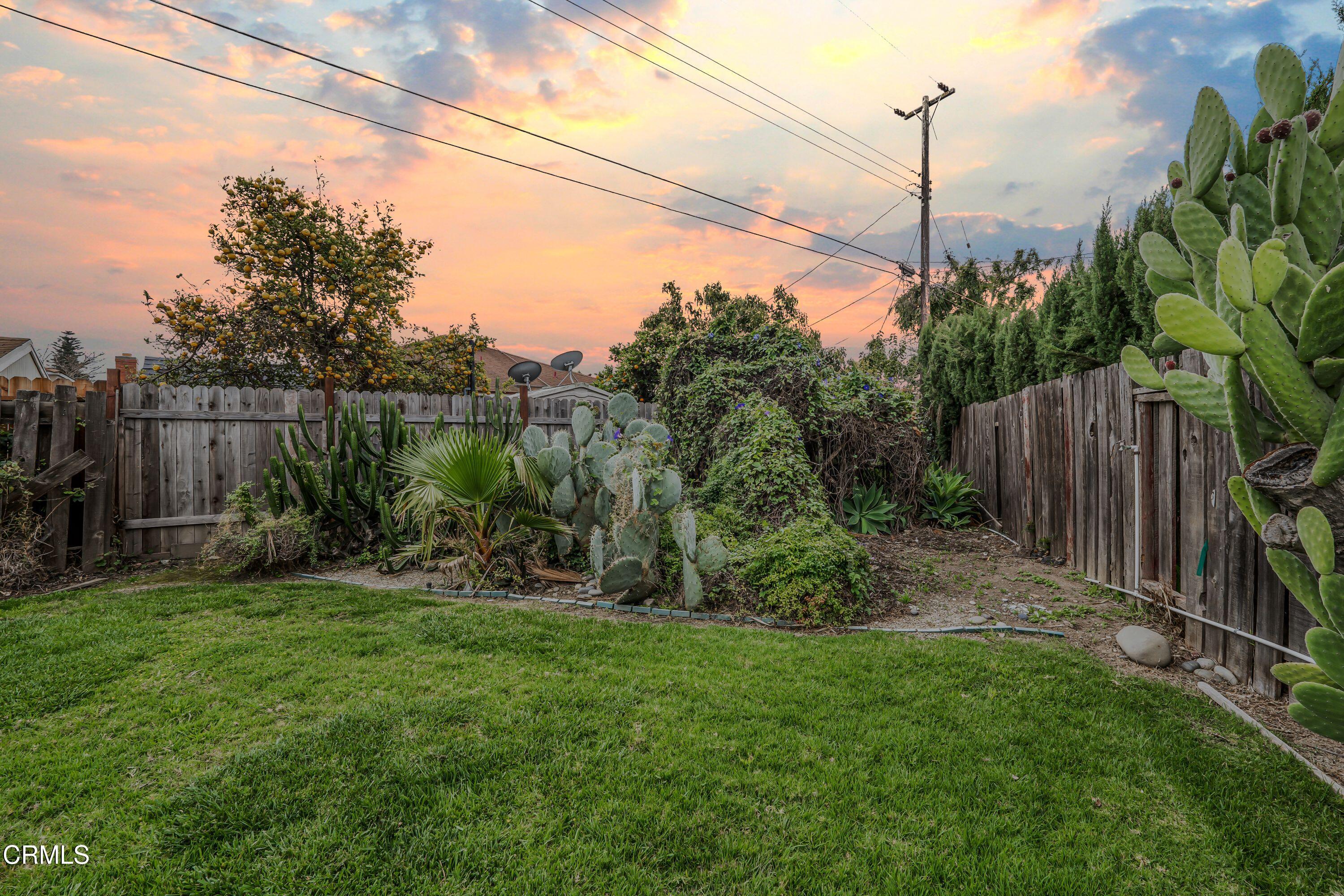 1738 Abbott Avenue Camarillo, CA 93010 - Photo 32 of 36 a view of a garden with a tree in the background