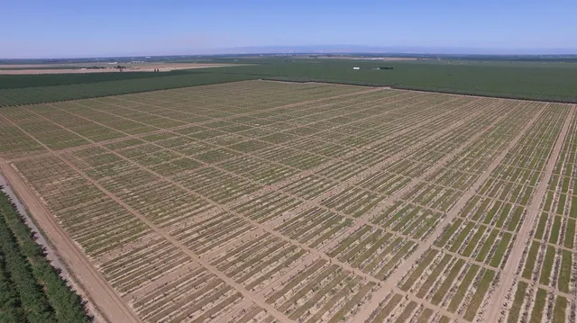 $7,900,000 | 6783 County Road 33, Artois, CA 95913