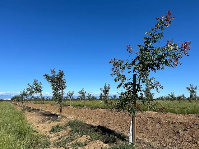 $7,900,000 | 6783 County Road 33, Artois, CA 95913