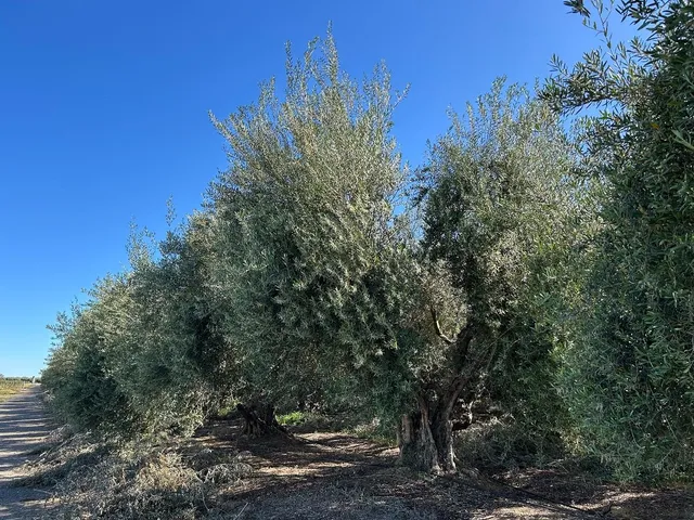 $7,900,000 | 6783 County Road 33, Artois, CA 95913