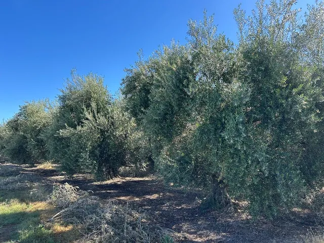 $7,900,000 | 6783 County Road 33, Artois, CA 95913