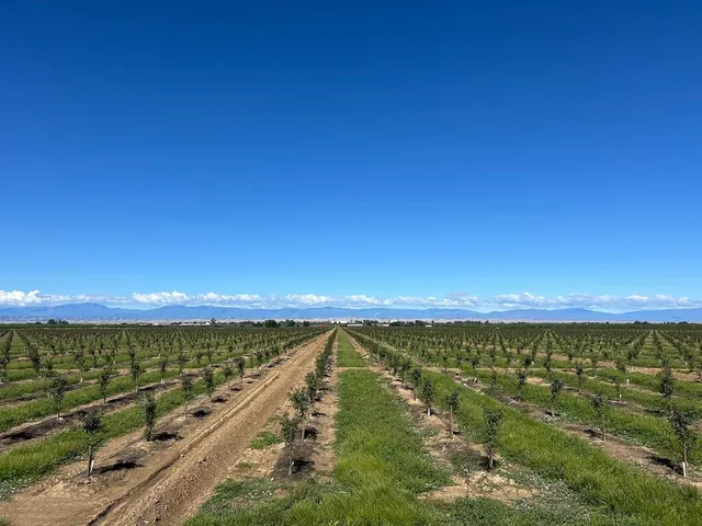 $7,900,000 | 6783 County Road 33, Artois, CA 95913