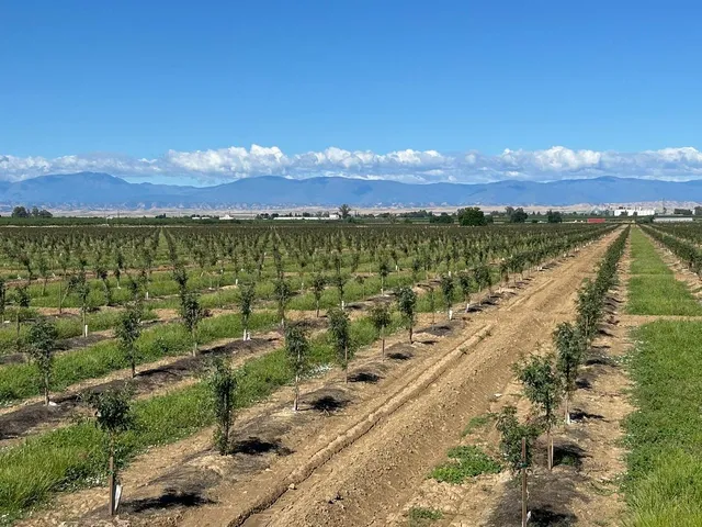 $7,900,000 | 6783 County Road 33, Artois, CA 95913