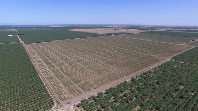 $7,900,000 | 6783 County Road 33, Artois, CA 95913