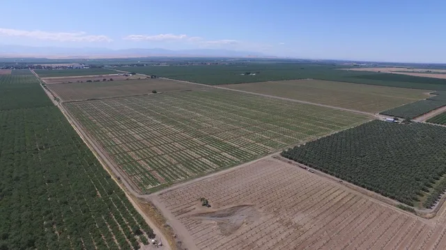 $7,900,000 | 6783 County Road 33, Artois, CA 95913