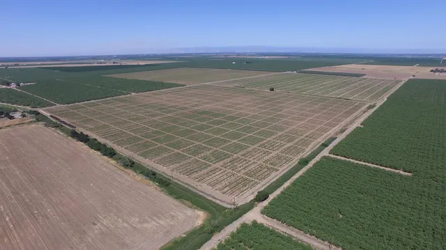 $7,900,000 | 6783 County Road 33, Artois, CA 95913