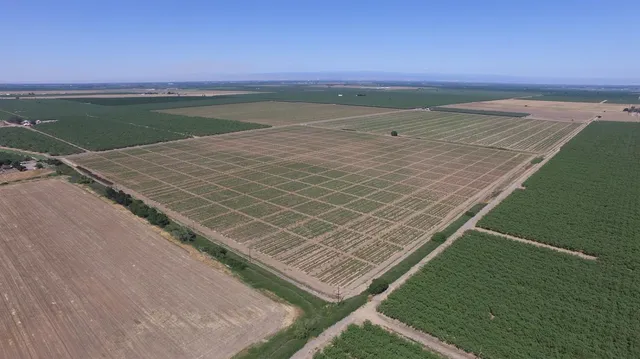 $7,900,000 | 6783 County Road 33, Artois, CA 95913