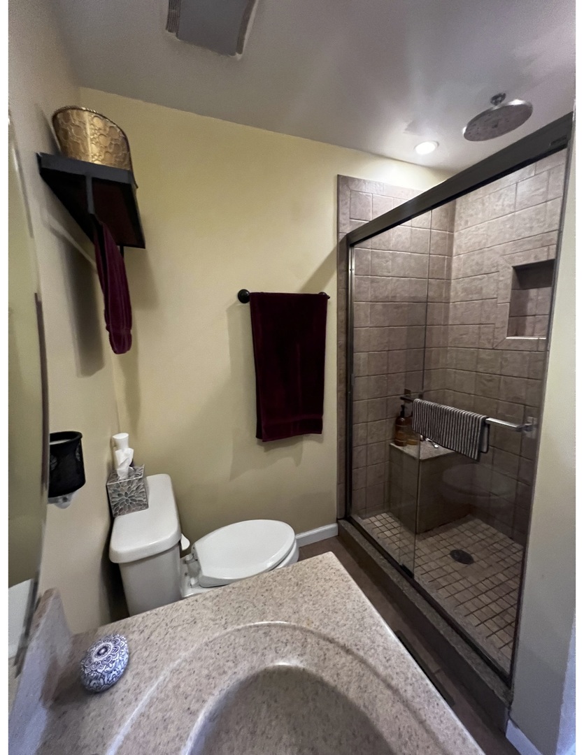 205 West Harrison Road Lombard, IL 60148 - Photo 24 of 26 a bathroom with a sink a toilet and shower