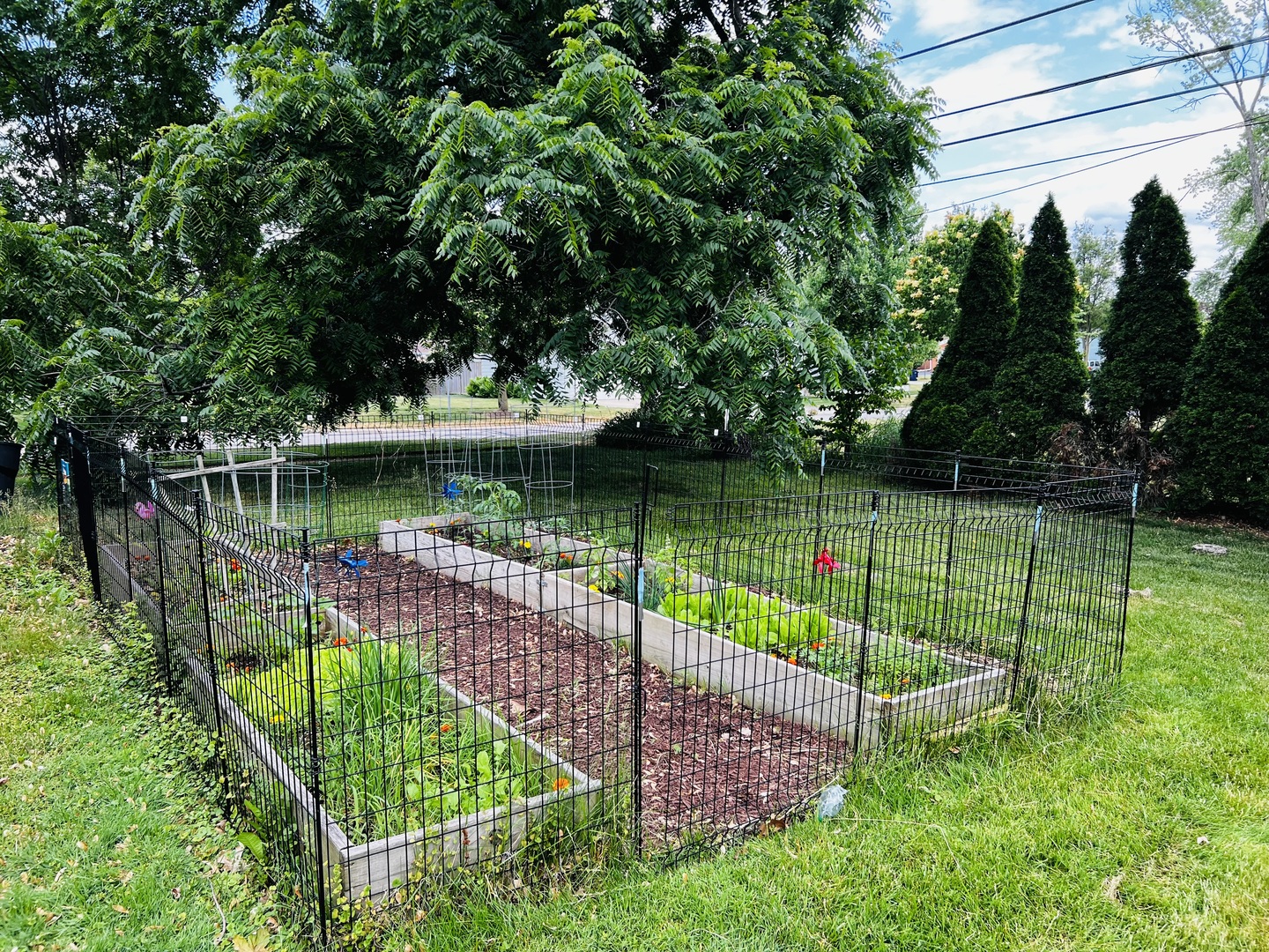205 West Harrison Road Lombard, IL 60148 - Photo 7 of 26 a view of a garden with a lake