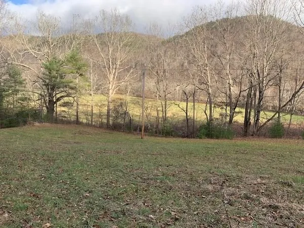 a view of dirt field with large trees